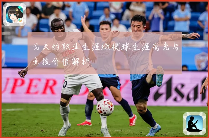 戈夫的职业生涯橄榄球生涯高光与竞技价值解析