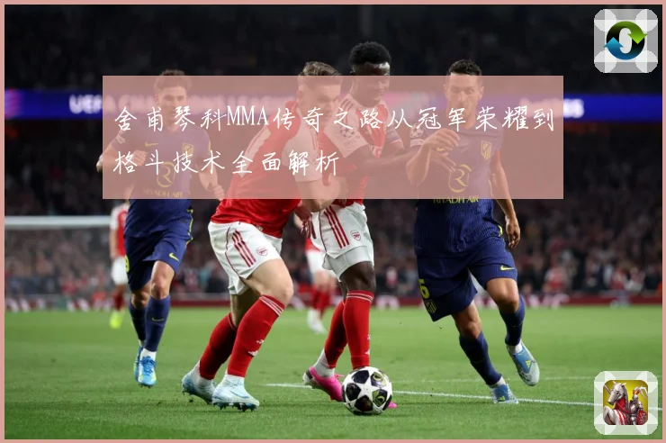 舍甫琴科MMA传奇之路从冠军荣耀到格斗技术全面解析