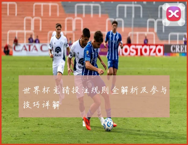 世界杯竞猜投注规则全解析及参与技巧详解