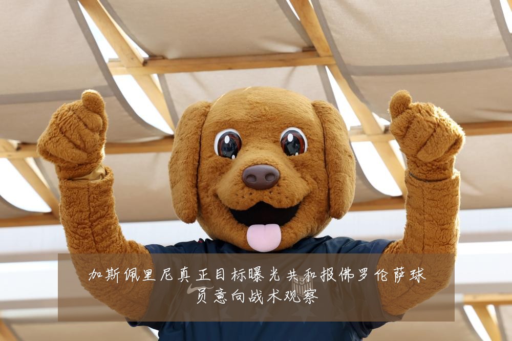 加斯佩里尼真正目标曝光共和报佛罗伦萨球员意向战术观察