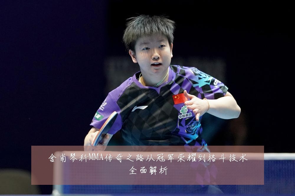 舍甫琴科MMA传奇之路从冠军荣耀到格斗技术全面解析