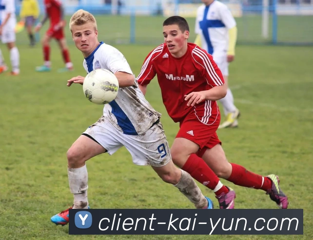 开云体育平台全面解析与未来发展趋势深度展望