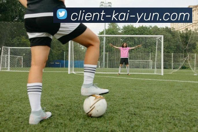 开云官网全站App